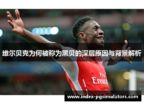 维尔贝克为何被称为黑贝的深层原因与背景解析