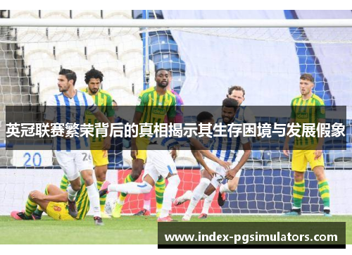 英冠联赛繁荣背后的真相揭示其生存困境与发展假象