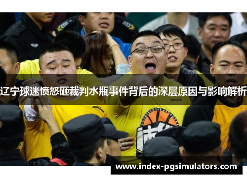 辽宁球迷愤怒砸裁判水瓶事件背后的深层原因与影响解析 辽宁球迷愤怒砸裁判水瓶事件背后的深层原因与影响解析